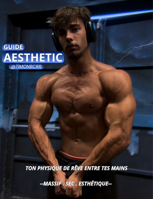 Guide Aesthetic